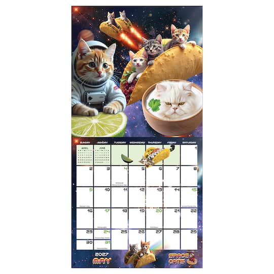 2027 Space Cats Mini Calendar